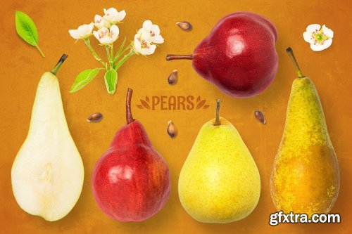 1050+ Isolated Food Items + Premade Scenes