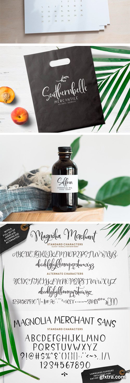 CM - Magnolia Merchant Font Family 1573536