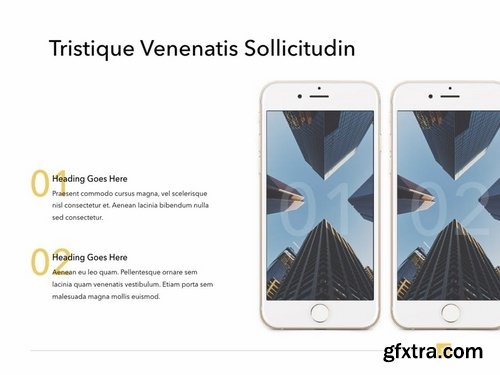 Soaring PowerPoint Template