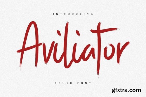 CM - Aviliator Brush Font 2891982