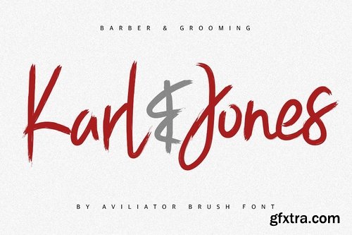 CM - Aviliator Brush Font 2891982