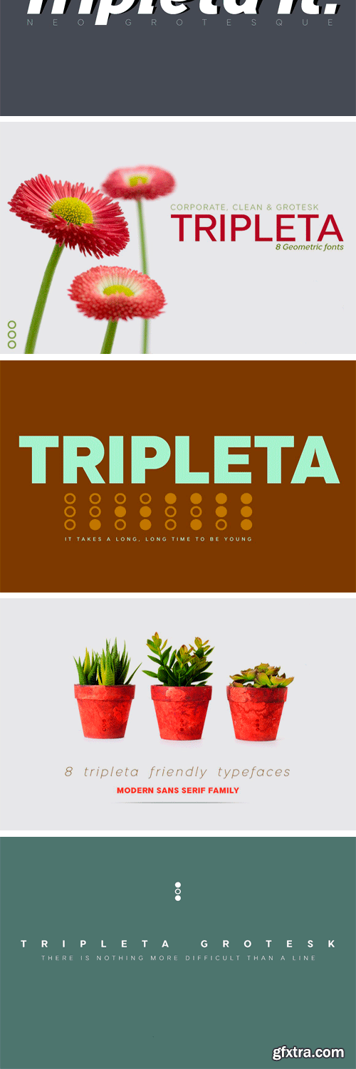 CM - Tripleta Grotesk Font Family 2443349