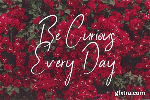 CM - Youthlove Script Font 2873777