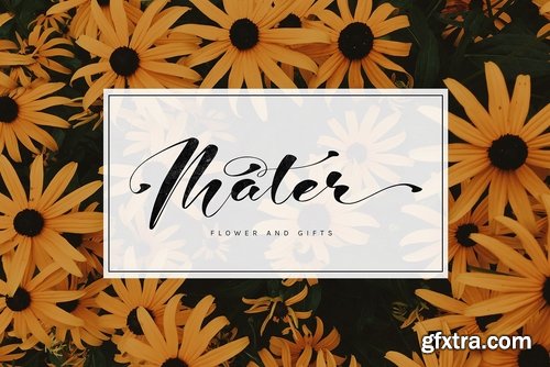 CM - Jonatan Gilberta 2902753