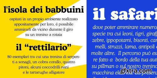 Cooper BT Font Family - 8 Fonts