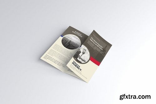 Trifold Brochure