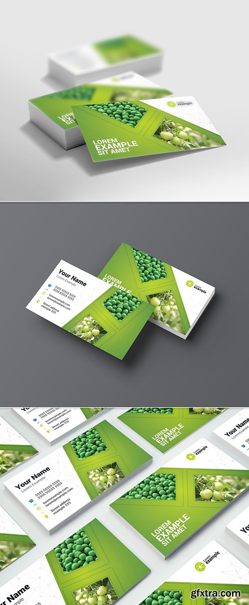 Green Gradient Business Card Layout Green Gradient Business Card Layout