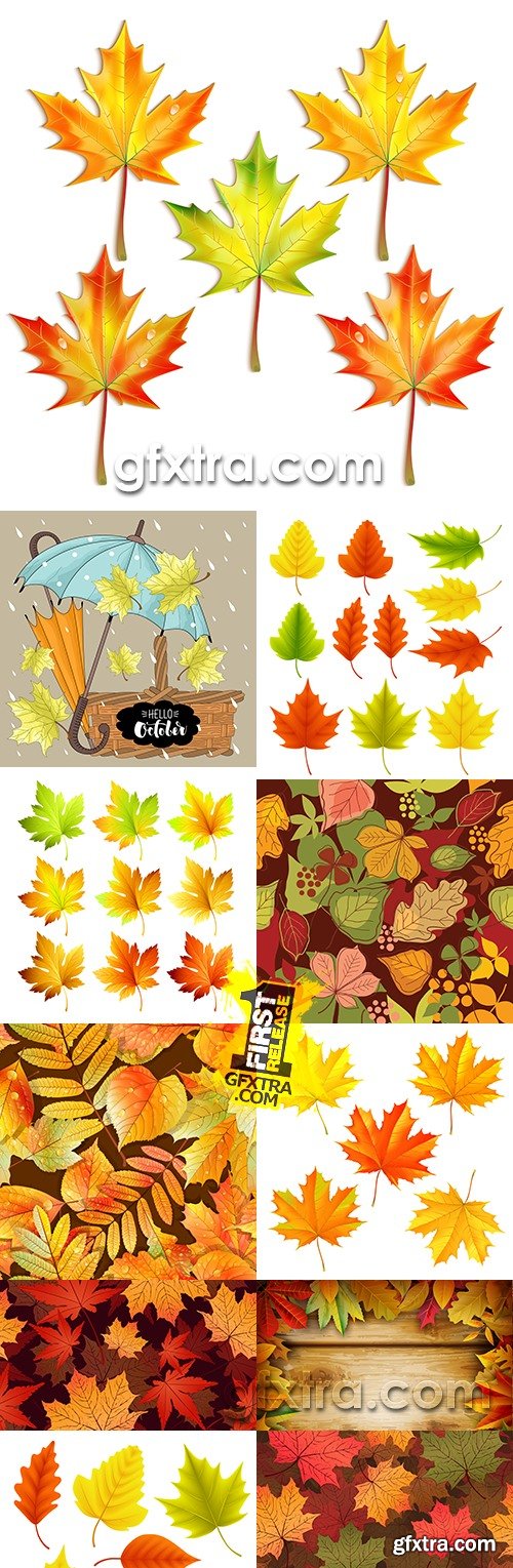 Autumn leaves and background from colourful leaves