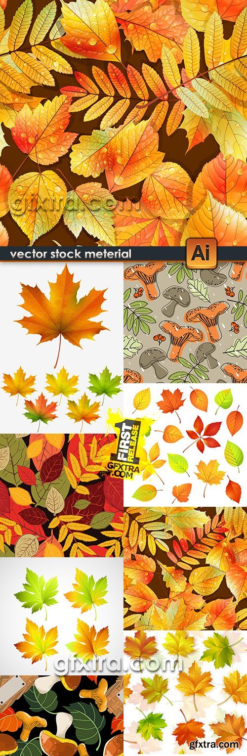 Autumn leaves and background from colourful leaves