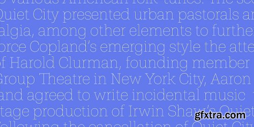 Shandon Slab Font Family - 18 Fonts