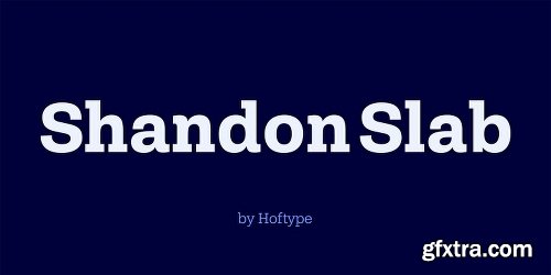 Shandon Slab Font Family - 18 Fonts