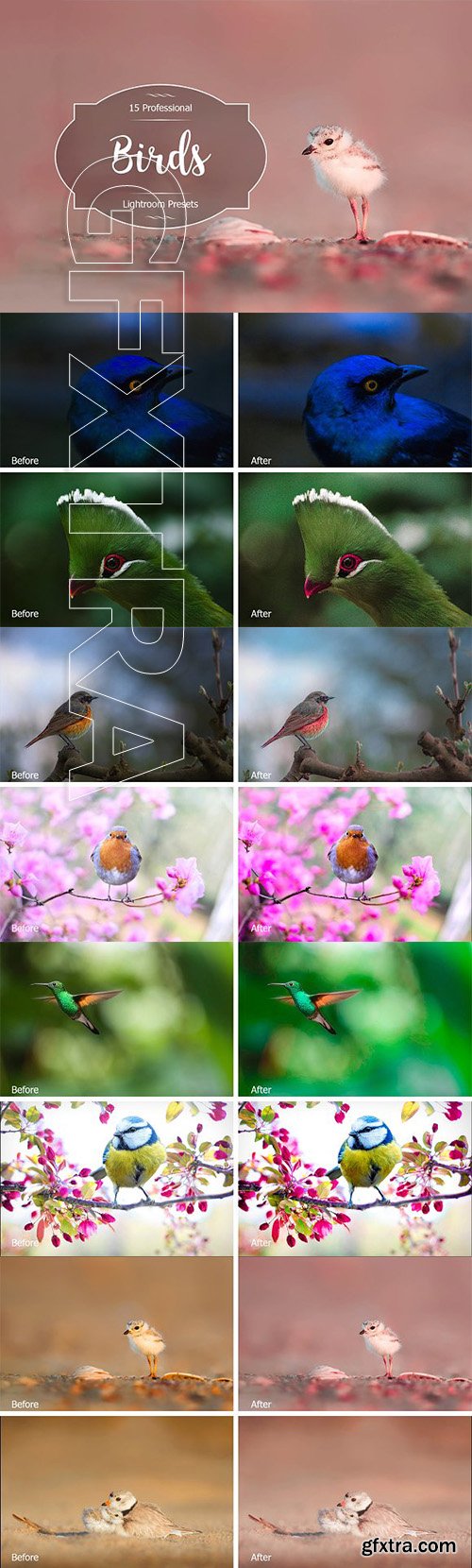 CreativeMarket - Birds Lr Presets 2934222
