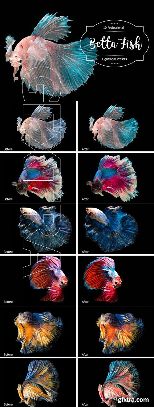 CreativeMarket - Betta Fish Lr Presets 2931350