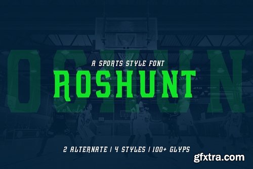 CM - Roshunt - NFC Font Family 2948338