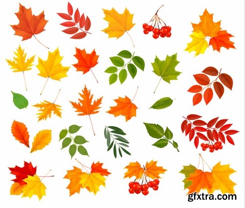 Autumn Leaf Tree Backgrounds - Poster, Flyer, Banner #1, 25xEPS Autumn Leaf Tree Backgrounds - Poster, Flyer, Banner #1, 25xEPS