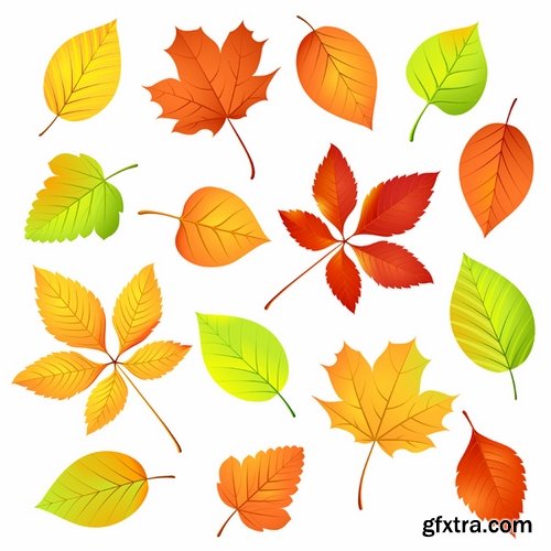 Autumn Leaf Tree Backgrounds - Poster, Flyer, Banner #1, 25xEPS Autumn Leaf Tree Backgrounds - Poster, Flyer, Banner #1, 25xEPS