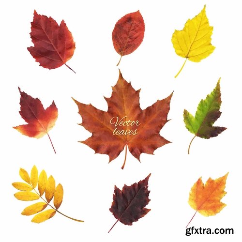 Autumn Leaf Tree Backgrounds - Poster, Flyer, Banner #1, 25xEPS Autumn Leaf Tree Backgrounds - Poster, Flyer, Banner #1, 25xEPS