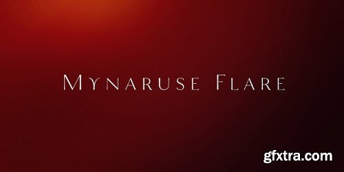 Mynaruse Flare Font Family - 2 Fonts