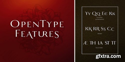 Mynaruse Flare Font Family - 2 Fonts