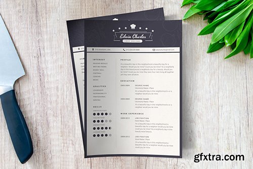 Chef CV Template
