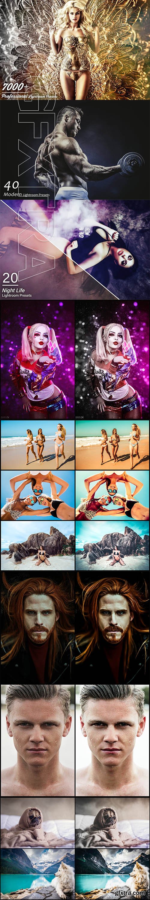 CreativeMarket - 7000+ Professional Lightroom Presets 2966774