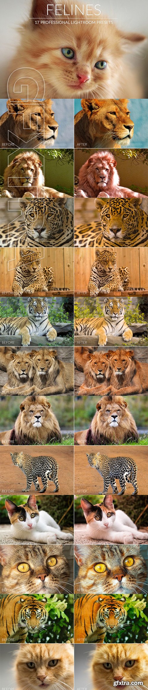 Felines Lr Presets