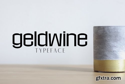 CM - Geldwine Sans Serif Font Family 2899510