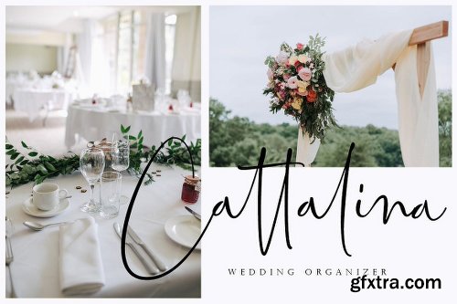 CreativeMarket Bettrish // Stylish Signature Font 2976559