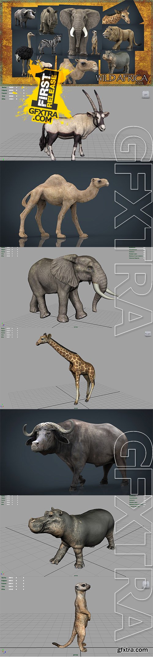 Cubebrush - WILD AFRICA PACK Cubebrush - WILD AFRICA PACK