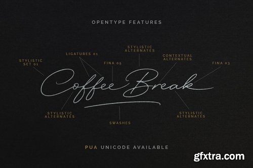 CM - Excellent Signature Font 3000420