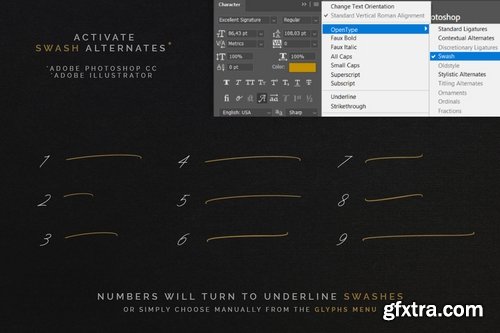 CM - Excellent Signature Font 3000420