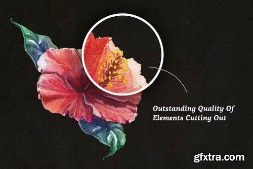 3000 Artistic Vectors Watercolors Flower Decorations & More 3000 Artistic Vectors Watercolors Flower Decorations & More