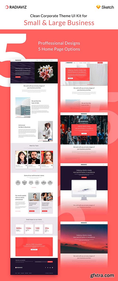 Radiaviz Corporate Theme