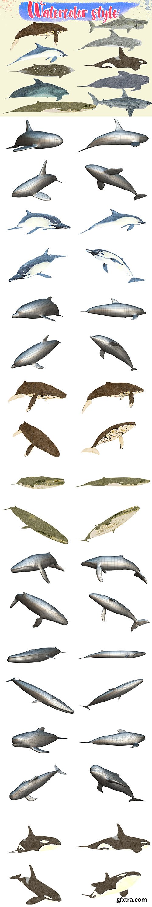 Cubebrush - Low Poly Big Fish Illustration Collection Animated