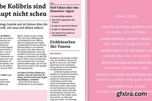 Salom Font Family Salom Font Family