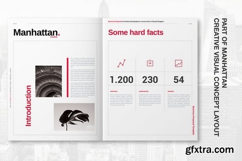 Manhattan Business Proposal