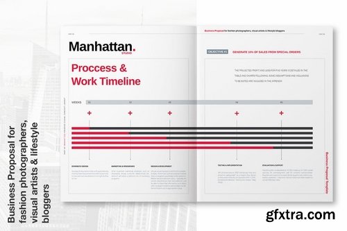 Manhattan Business Proposal