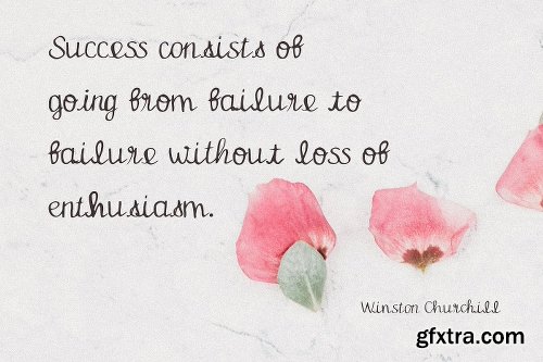 CreativeMarket Magnolia Font 3043848