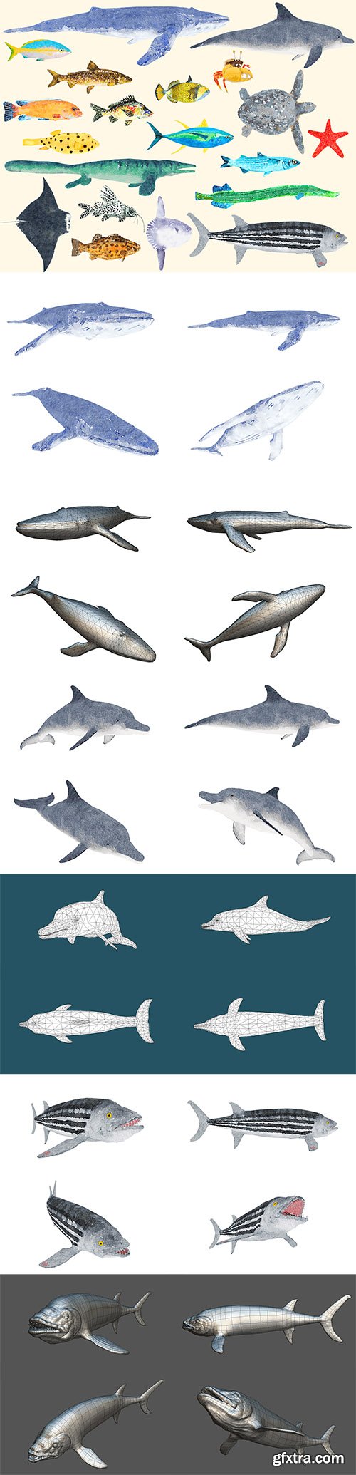 Cubebrush - Fish Illustration Collection Part 4 - Animated Cubebrush - Fish Illustration Collection Part 4 - Animated