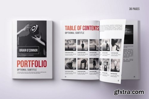 Multipurpose Portfolio - 36 Pgs INDD IDML PSD