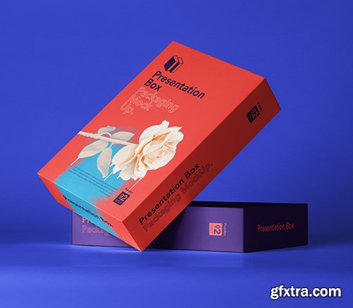 Psd Box Packaging Mockup 2