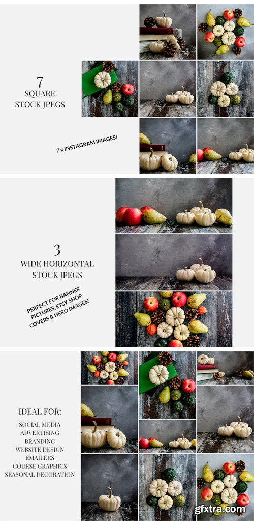 CM - Pumpkins &amp; Pears 3050504