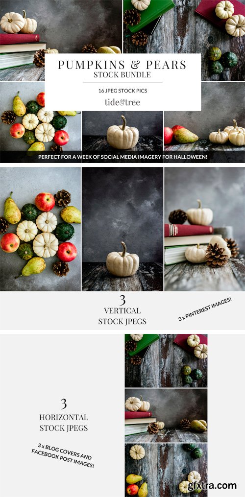 CM - Pumpkins &amp; Pears 3050504