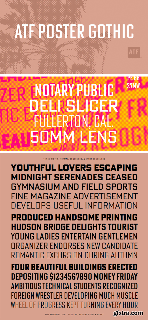 ATF Poster Gothic Font Family