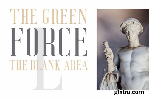 CreativeMarket Deluce - Luxury Serif Font 3109675