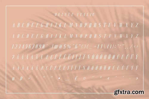 CreativeMarket Deluce - Luxury Serif Font 3109675
