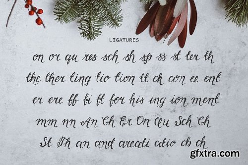 CreativeMarket Linaria Font 3038592