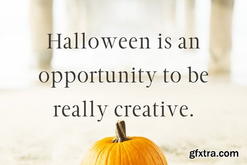 CM - Hughe Serif Font Family 3102375