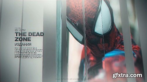 Videohive The Elegant Slide Show 22825286