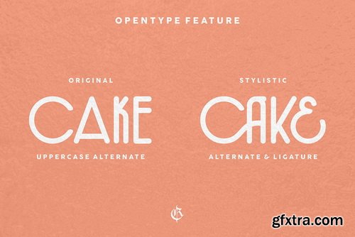 The Chocolate Type The Chocolate Type